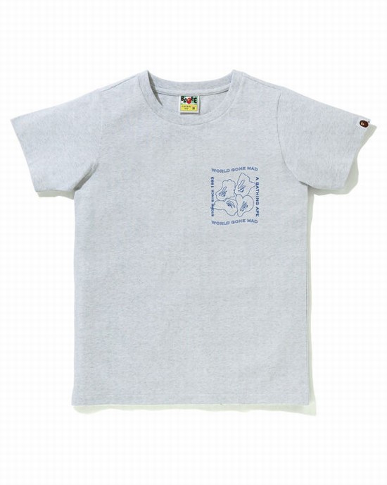 Dámské Tričko Bape Ink Print Šedé | 42761RPVG