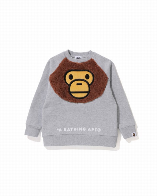 Dětské Mikiny Bape Milo Crewneck Šedé | 43268WDUM