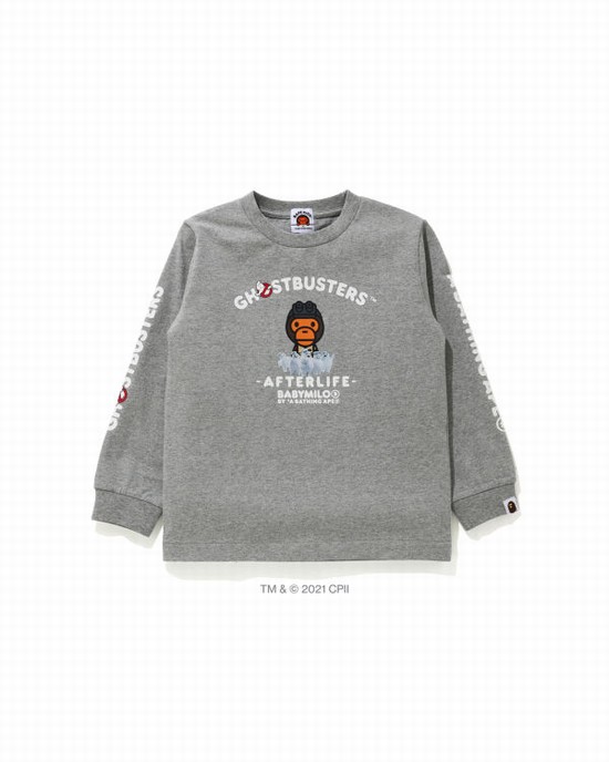 Dětské Tričko Bape X Ghostbusters Milo Long Sleeve Šedé | 68259JOAG