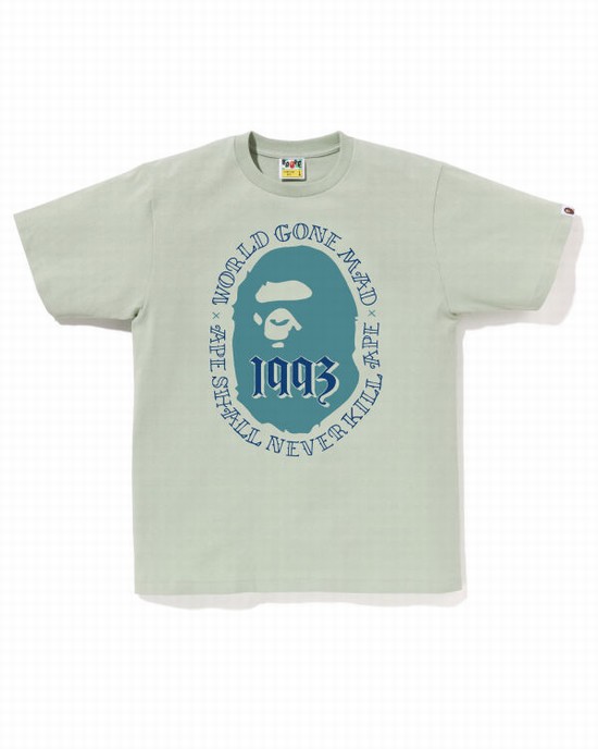 Pánské Tričko Bape Ape Head 1993 Světle Blankyt | 03846UYHG