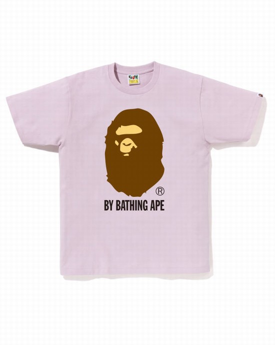 Pánské Tričko Bape By Bathing Ape Fialové | 58261TGWU