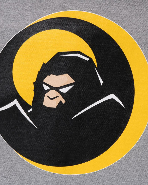 Pánské Mikiny S Kapucí Bape Shadow Relaxed Fit Full Zip Šedé | 26904YECD