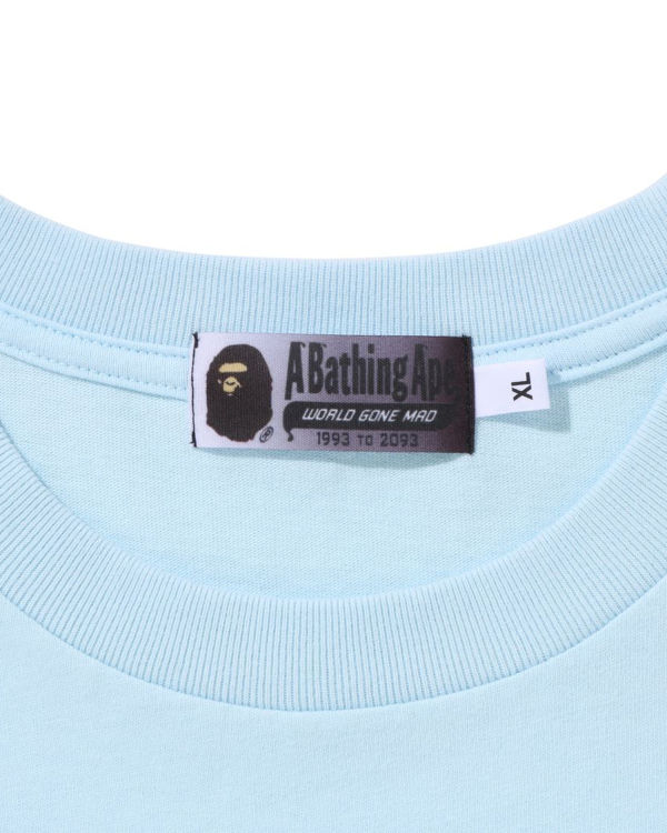 Pánské Tričko Bape College Gradation Relaxed Fit Blankyt | 14682KXCQ