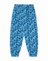 Světle Blankyt